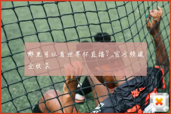 哪里可以看世界杯直播？官方频道全收录