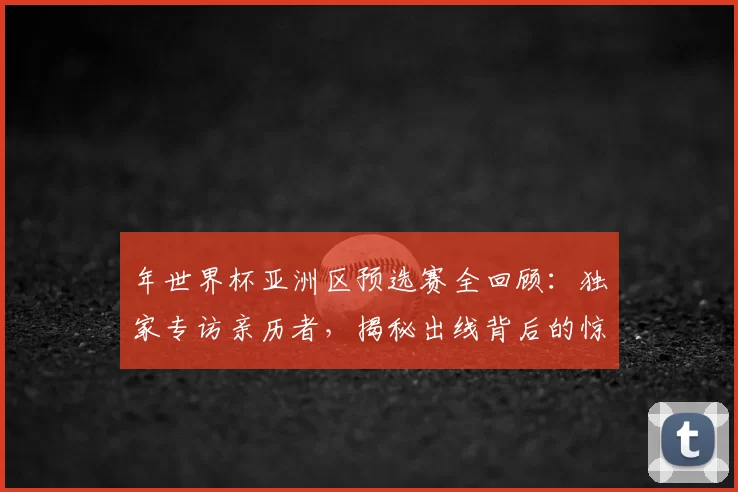 年世界杯亚洲区预选赛全回顾：独家专访亲历者，揭秘出线背后的惊险时刻