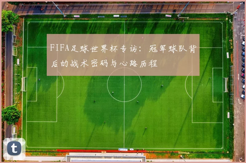FIFA足球世界杯专访：冠军球队背后的战术密码与心路历程