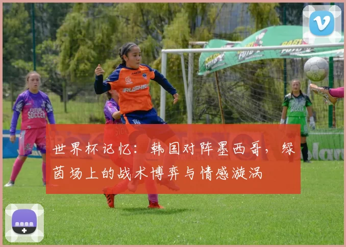 世界杯记忆：韩国对阵墨西哥，绿茵场上的战术博弈与情感漩涡