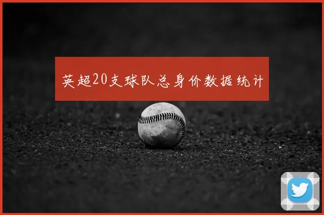 英超20支球队总身价数据统计