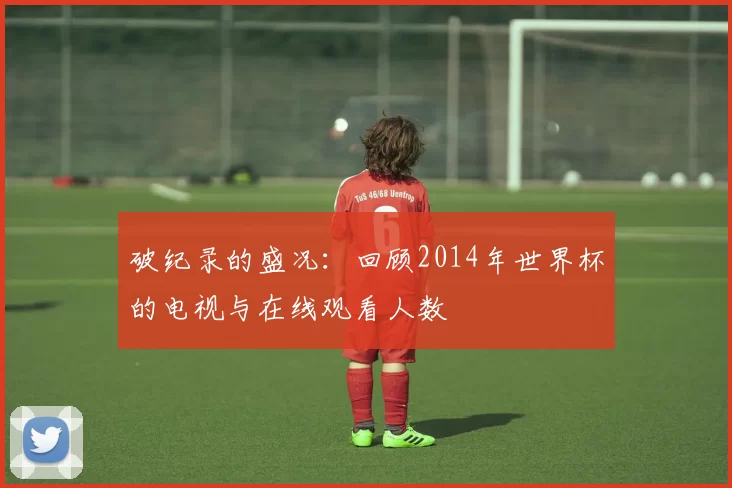 破纪录的盛况：回顾2014年世界杯的电视与在线观看人数