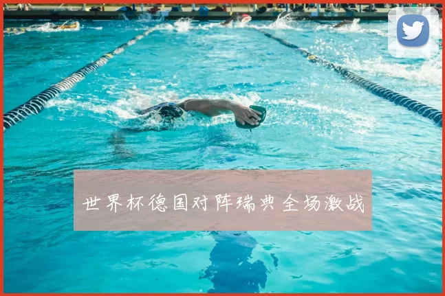 世界杯德国对阵瑞典全场激战