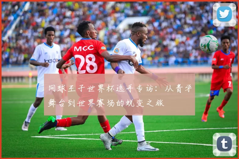 网球王子世界杯选手专访:从青学舞台到世界赛场的蜕变之旅