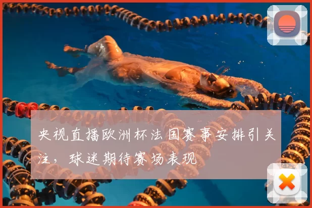央视直播欧洲杯法国赛事安排引关注，球迷期待赛场表现