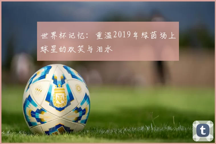 世界杯记忆：重温2019年绿茵场上球星的欢笑与泪水