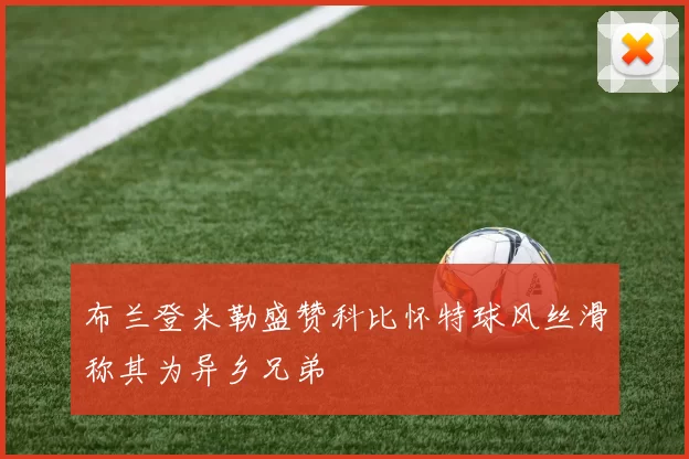 布兰登米勒盛赞科比怀特球风丝滑称其为异乡兄弟