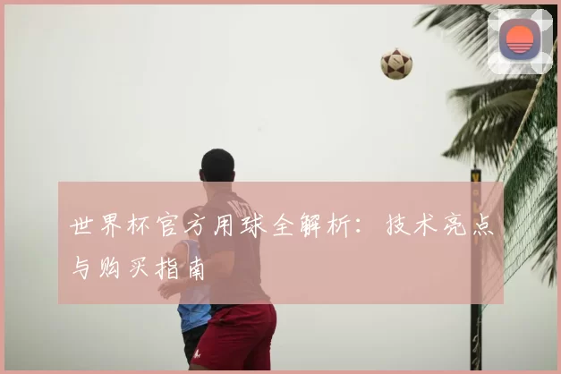 世界杯官方用球全解析：技术亮点与购买指南