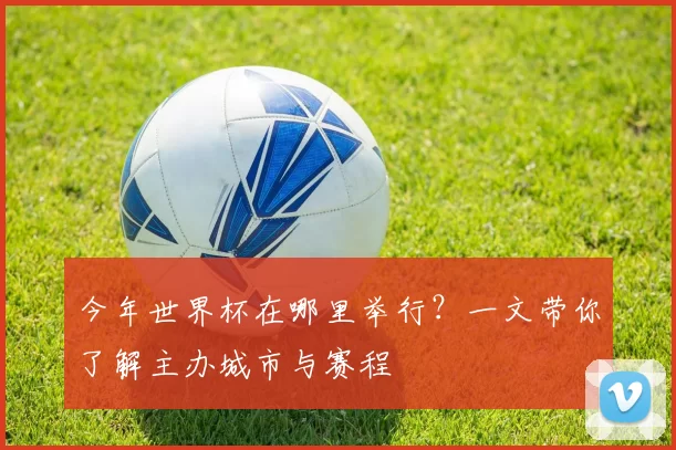 今年世界杯在哪里举行?一文带你了解主办城市与赛程
