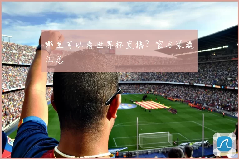 哪里可以看世界杯直播？官方渠道汇总