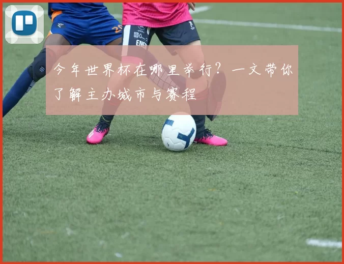 今年世界杯在哪里举行？一文带你了解主办城市与赛程