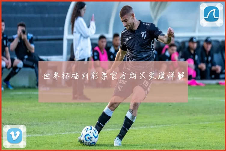 世界杯福利彩票官方购买渠道详解