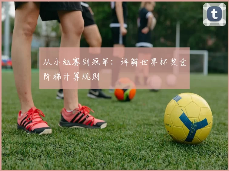 从小组赛到冠军：详解世界杯奖金阶梯计算规则