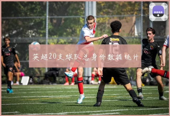 英超20支球队总身价数据统计