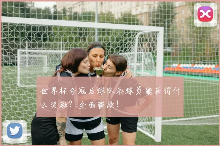 世界杯夺冠后球队和球员能获得什么奖励？全面解读！