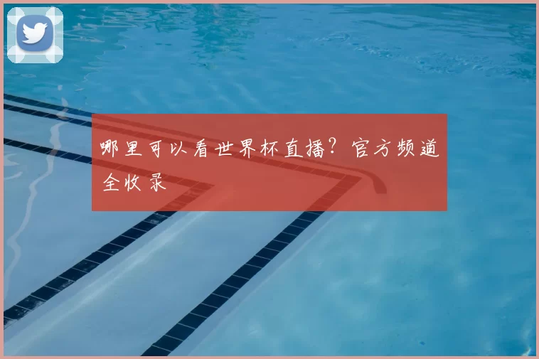 哪里可以看世界杯直播?官方频道全收录