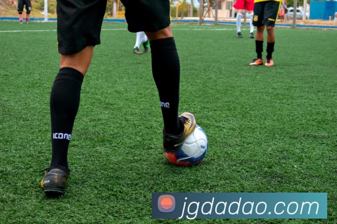 买球官网平台生态图